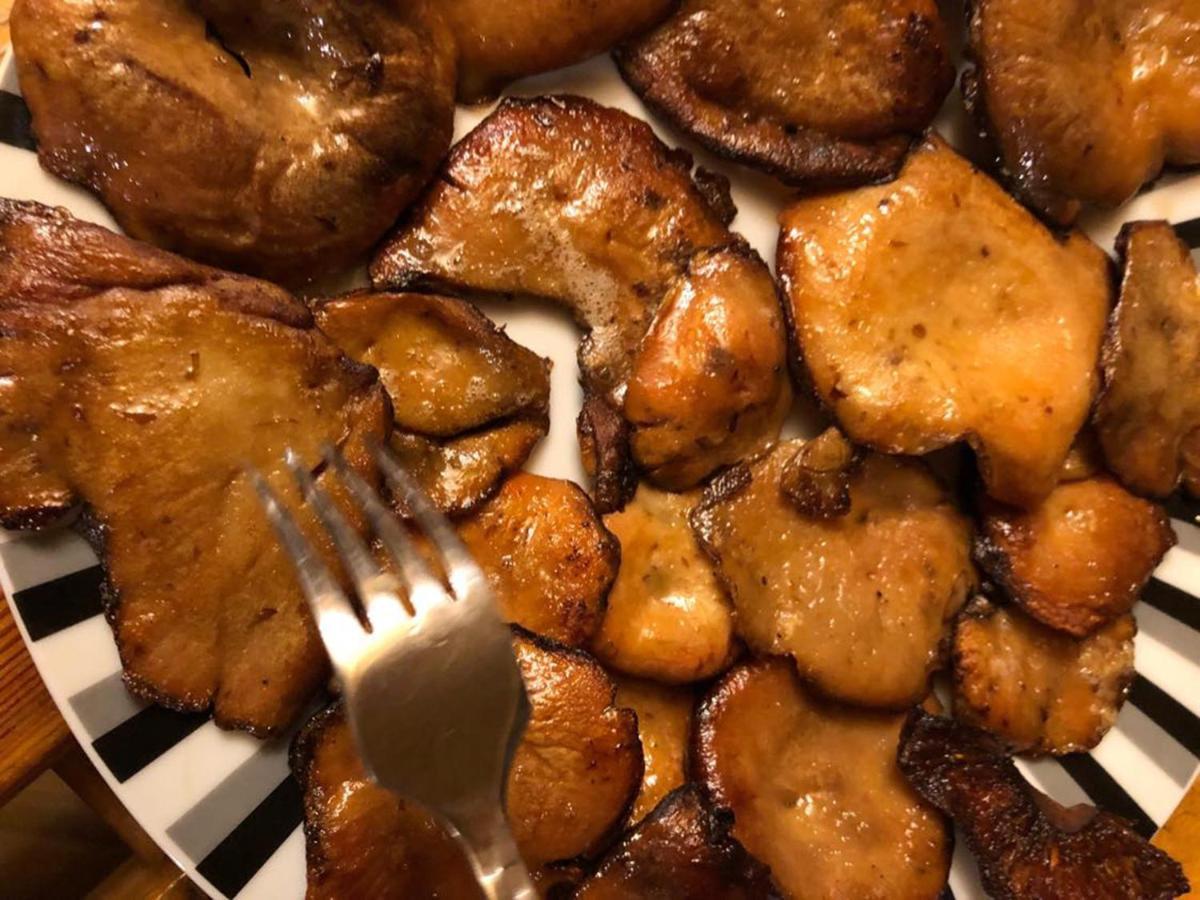 齐斯纳Bieszczadzki Klin Bklin别墅 外观 照片
